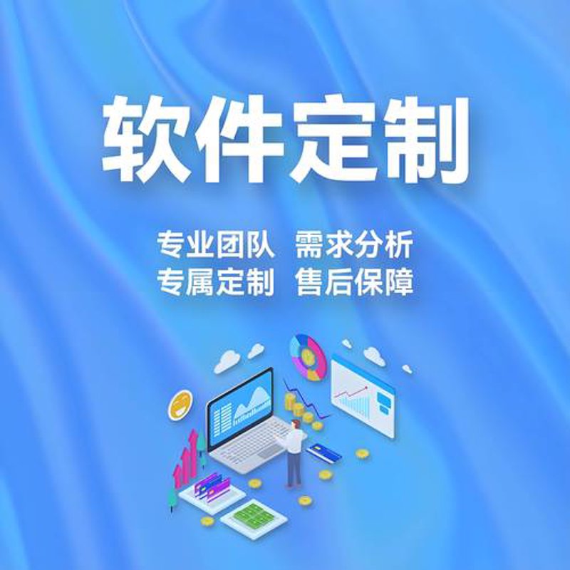 软件定制开发在现代企业中的重要性